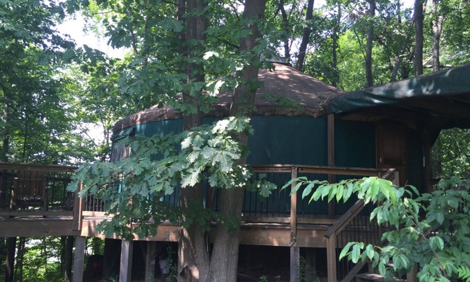 Lawton Cabin | Stay In A Yurt! Secluded And Wooded Acreage On A Lake! Lawton Mi
