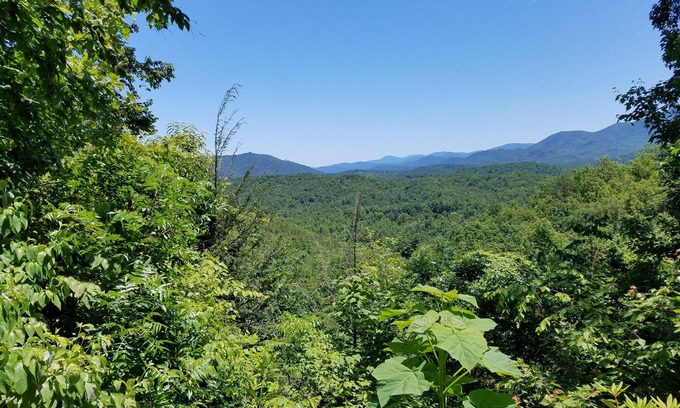 Rocky Grove Cabin | Stay in our private and secluded cabin close to all the Smoky attractions