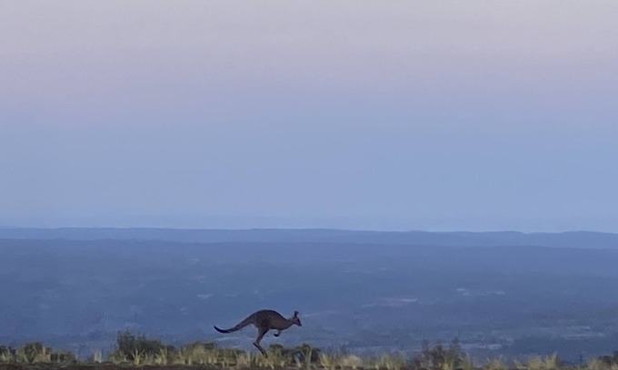 Sassafras Cabin | Stay on the escarpment, rural retreat, forest bathe, stargaze, amazing views