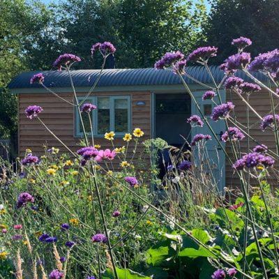 Sampford Brett Other | Steam and Stars Luxury Glamping