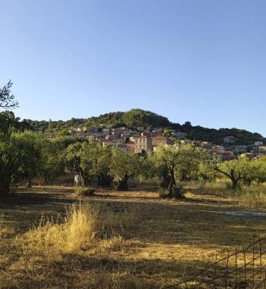 Vatoussa House | Stone cottage