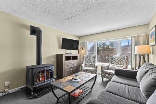 Stowe Area Apartment | Stowe Ski Chalet - 3BR with In Unit Sauna