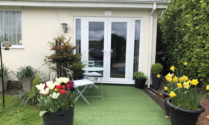 St. Cleer Apartment | Studio 17 room with a moorland view