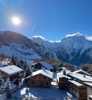 Les Deux Alpes Apartment | STUDIO 2 ALPES STYLE CHALET au PIED DE TELESIEGE DU DIABLE