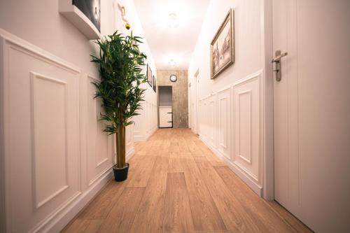 Poznan City Center Hotel | Studio 54 Poznań - 24h self check-in