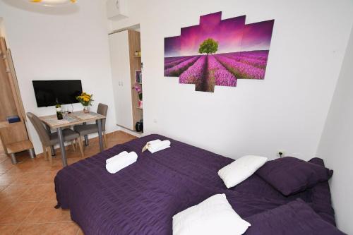 Sarsoni Apartment | Studio apartman Kris