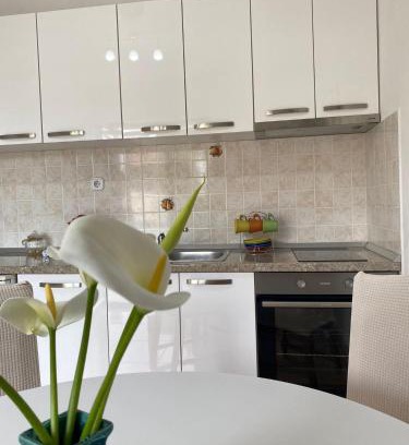 Cilipi Apartment | Studio apartment Novak
