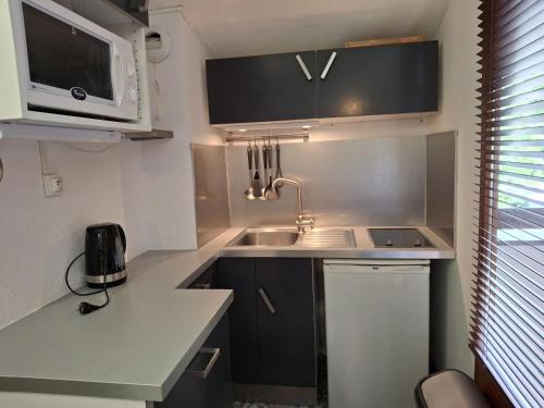 Brides-les-Bains Apartment | Studio avec Balcon Exposé Est, Parking et WIFI Inclus - Brides-les-Bains - FR-1-512-186
