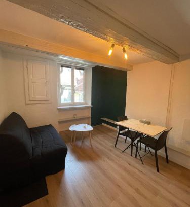 Besancon Old Town Apartment | Studio centre ville