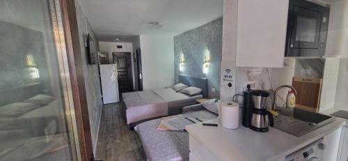 Saturn Apartment | Studio Complex Alfa&Beta Saturn la parter cu terasa