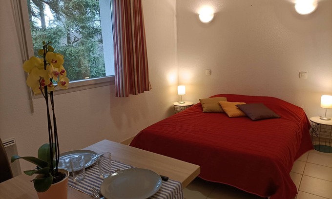 Salies-de-Bearn Apartment | Studio Dans Résidence Avec Piscine B29