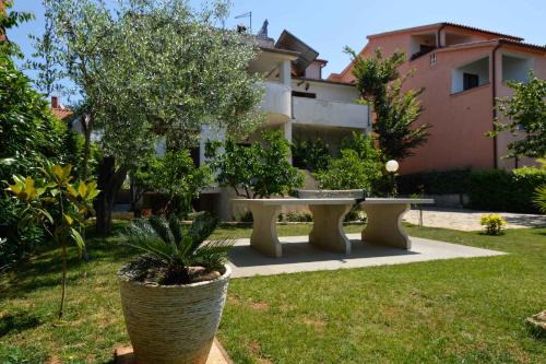 Pjescana Uvala Apartment | Studio in Pjescana Uvala - Istrien 11166