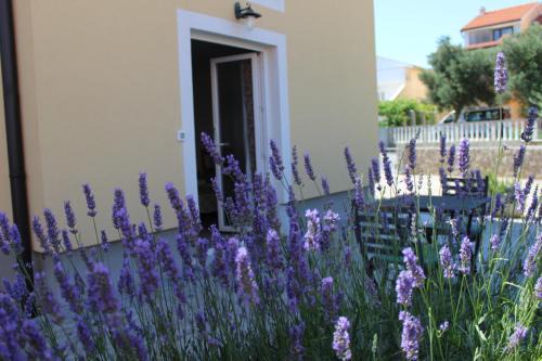 Kornic Apartment | Studio Lavanda in Kornić, Krk
