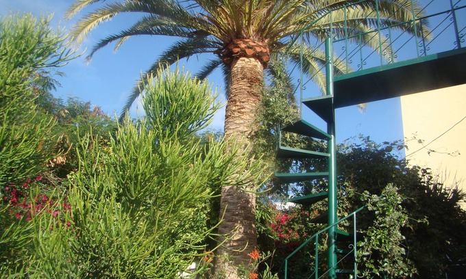 Aldea Blanca Cottage | Studio Marcel, Comfortable and economical, Tenerife