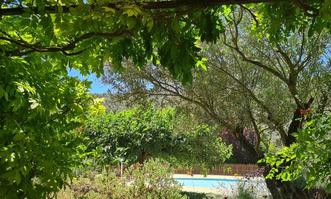 Roquefort-la-Bedoule Apartment | STUDIO - RECOMMENDED BY SMALL FUTE - SWIMMING POOL - VIEW ON VINES