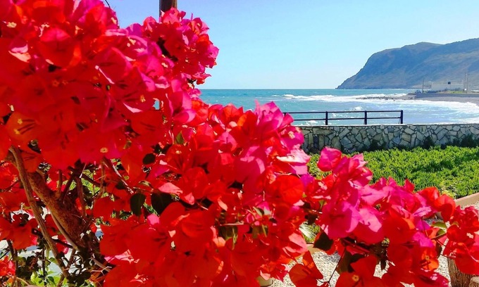 Milatos Beach Apartment | Studio with Seaview in a beautiful garden!