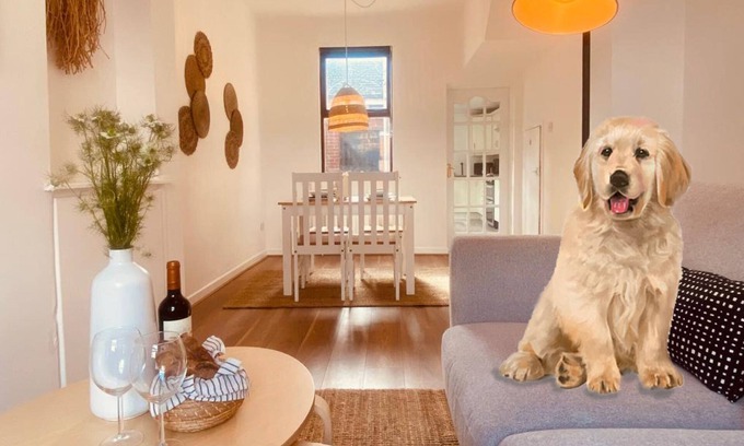 Ormeau Apartment | Stunning 2 Bed| Ormeau Rd | Free Parking