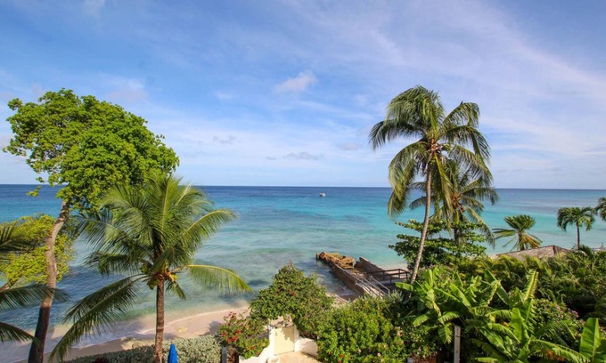 Old Trees Bay Apartment | Stunning Beachfront Condo on Payne's Bay
