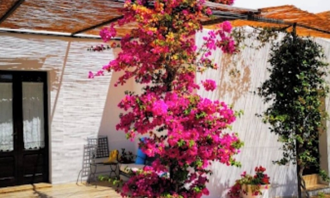 Rosa Marina Bed & Breakfast | Stunning Quadruple Room in Ancient Masseria Near the sea in a Quiet Olive Trees