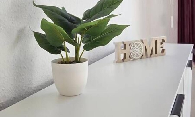 Plauen Apartment | Stylish apartment 70sqm <1000€ possible per month