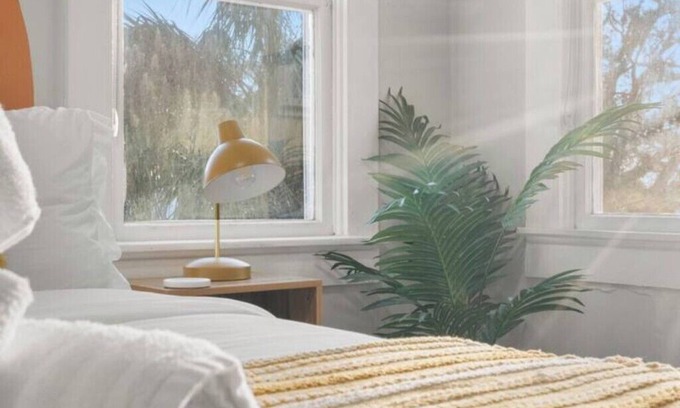 United Central Apartment | Stylish Boho Charm: Walk to Central Ave Beaches