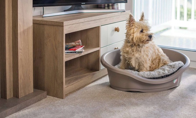 Holywell House | Stylish Comfort 3 (Pet)