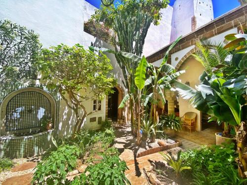 Medina Villa | Sublime Riad d'artiste au coeur de la médina d'Essaouira