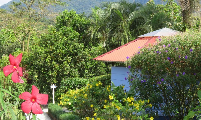 Rio Naranjo Bed & Breakfast | Sueño Río Celeste B&B