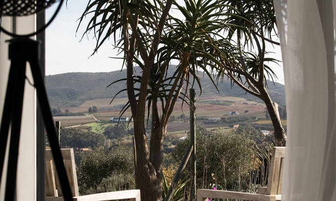 Stellenbosch House | Sugarbird Manor at Protea Heights Farm