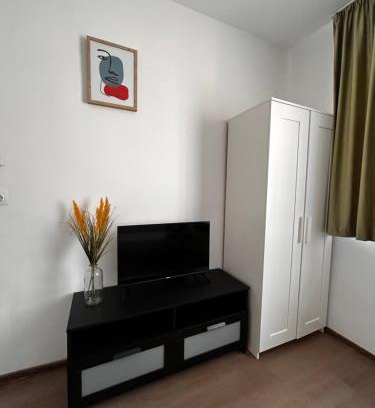 Tirgu Mures Apartment | Suita UMF 36