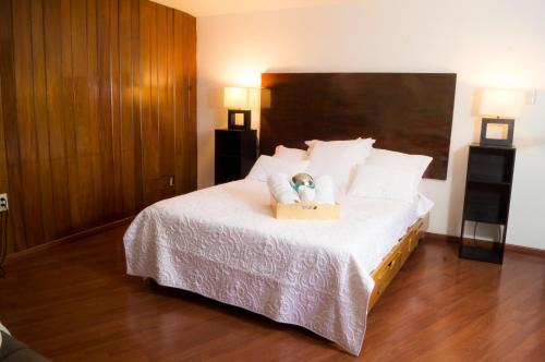 Campestre Apartment | Suite 1C, Balcon, Garden House, Welcome to San Angel