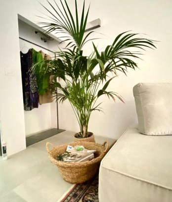 Ravenna House | Suite con giardino Ravenna