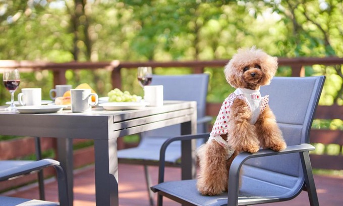Nasu House | Suite Villa Nasukogen Doggy's Ohana