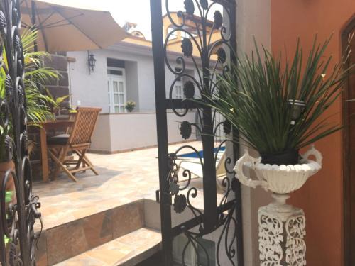 Colonia San Antonio Apartment | Suites colibri