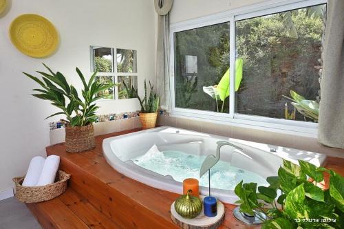 Had Nes Cabin | Suites Luka