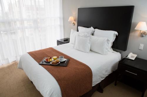 Colonia Cuauhtemoc Apartment | Suites Parioli