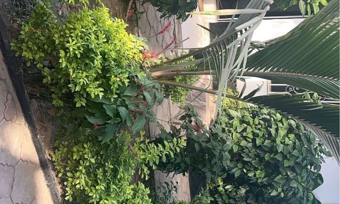 Sukuta House | Sukuta Nema Guest House