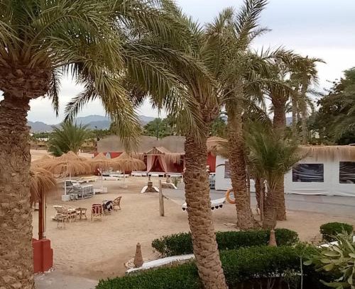 Safaga Hotel | Sun Beach Hotel Safaga