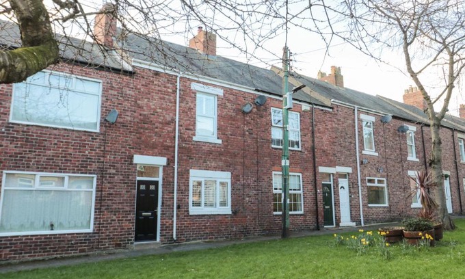 Whitley Bay House | Sunflowers