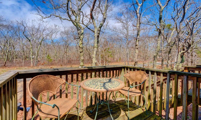 Edgartown Apartment | Sunlit woodland view studio with private deck & WiFi - near beaches/trails/town