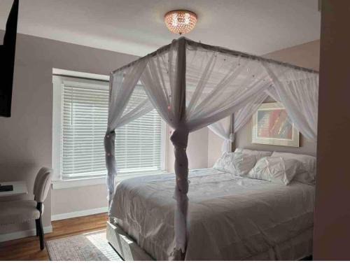 Cleveland House | Sunny Lavender Canopy Retreat