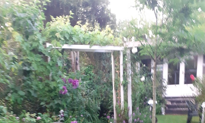 Hastings Cabin | Sunny log cabin set in beautiful peaceful garden . 10mins walk to town and beach