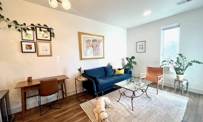 Lakewood Condo | Sunny, Modern 1 BD 1 Bath