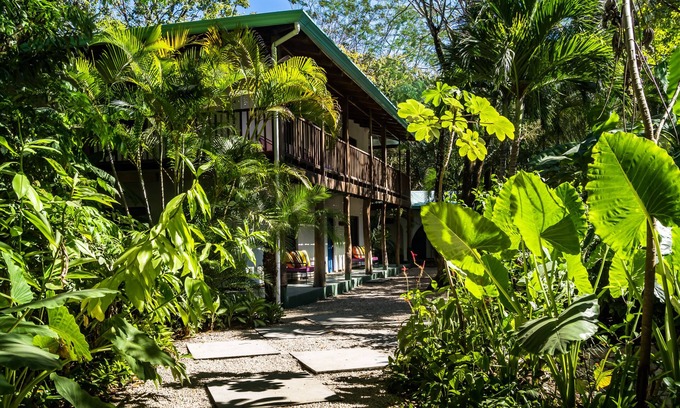 Playa Guiones Hotel | Sunset Shack Hotel