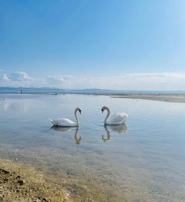 Waggershausen Apartment | " Sunshine am See "