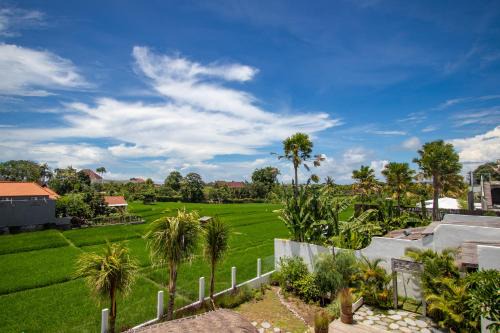 Umalas Villa | Sunterra - Brand new villa - Ricefield View, Canggu - Rooftop