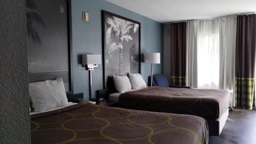 Dania Beach Hotel | Super 8 Motel by Wyndham near Fort Lauderdale Arpt