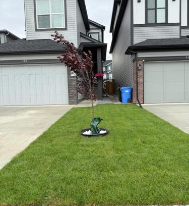 Calgary House | Super house