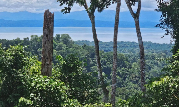 Puerto Jimenez Cabin | Superb 2-bedroom cabin in the Osa Penisula with stunning mountain and sea views