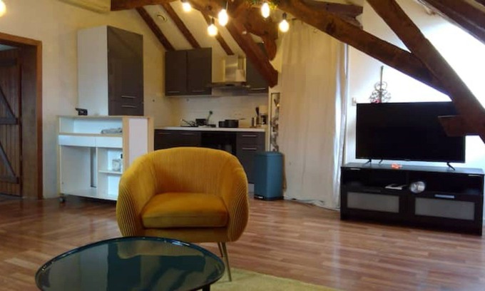 Bouchemaine Apartment | Superb apartment with Loire view under the roofs